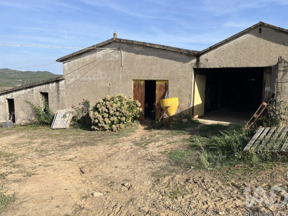 Terreno para Venda em Alijo Foto 11