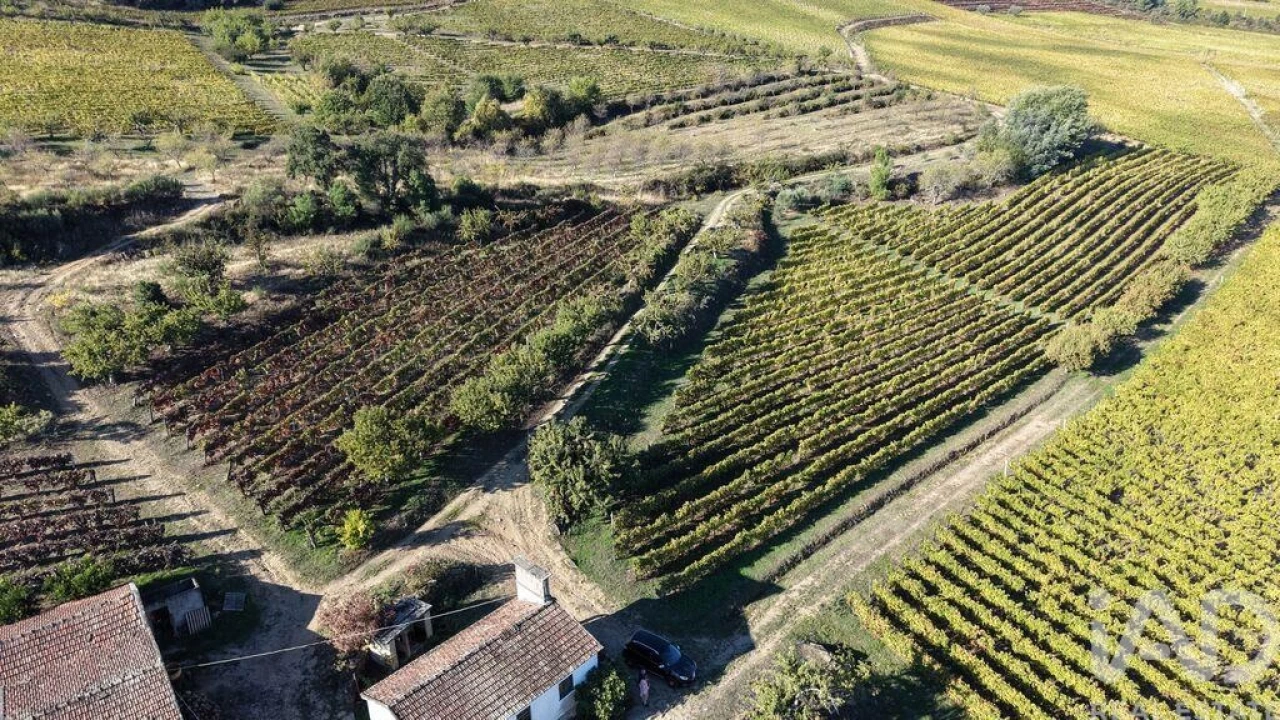 Terreno para Venda em Alijo Foto 23