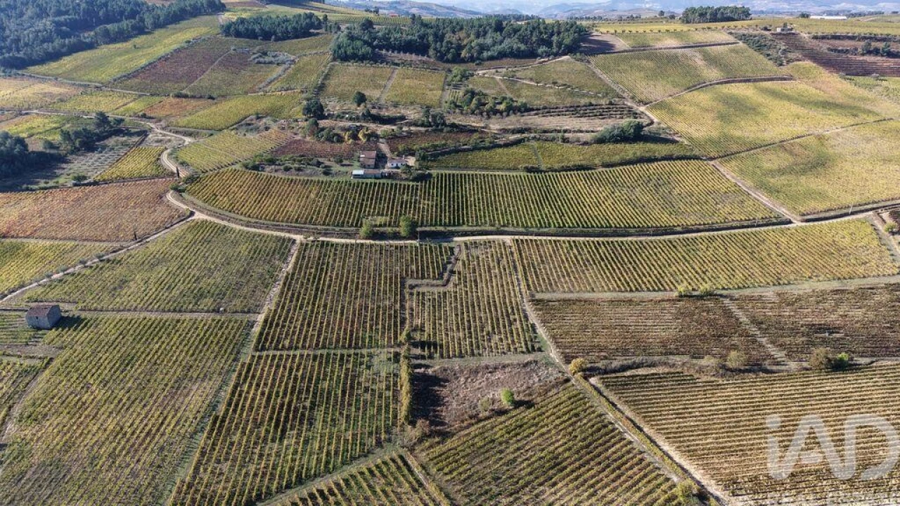 Terreno para Venda em Alijo Foto 25