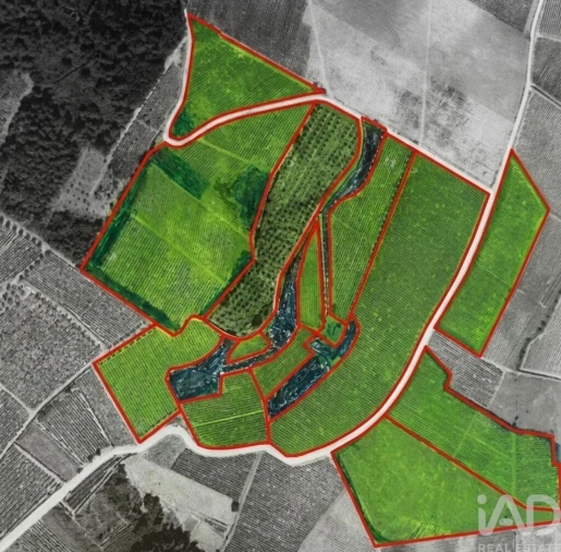 Terreno para Venda em Alijo Foto 19