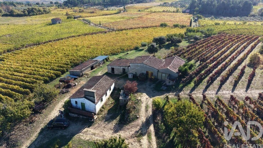 Terreno para Venda em Alijo Foto 19