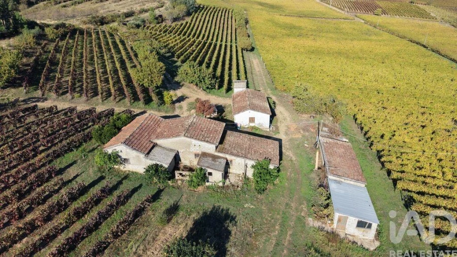 Terreno para Venda em Alijo Foto 22