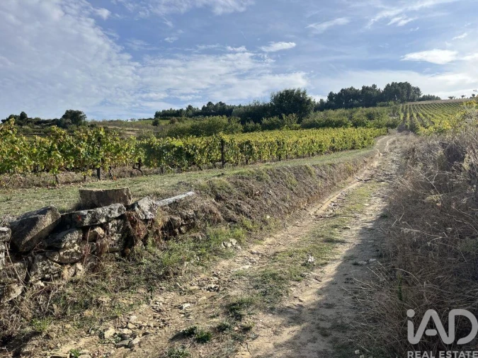 Terreno para Venda em Alijo Foto 17