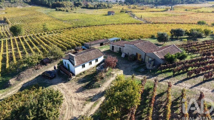 Terreno para Venda em Alijo Foto 20