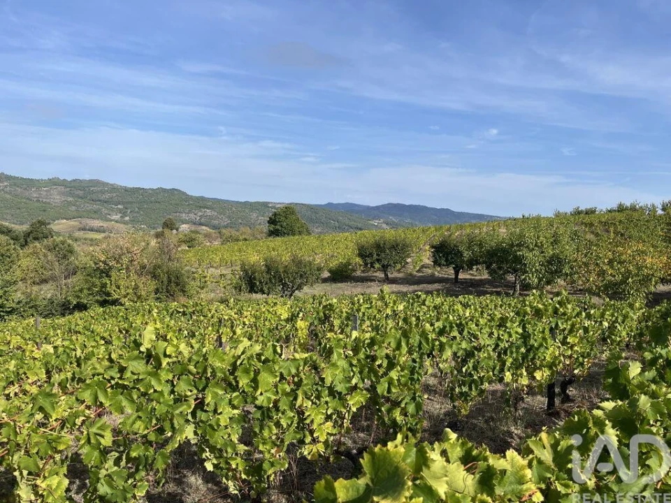 Terreno para Venda em Alijo Foto 4