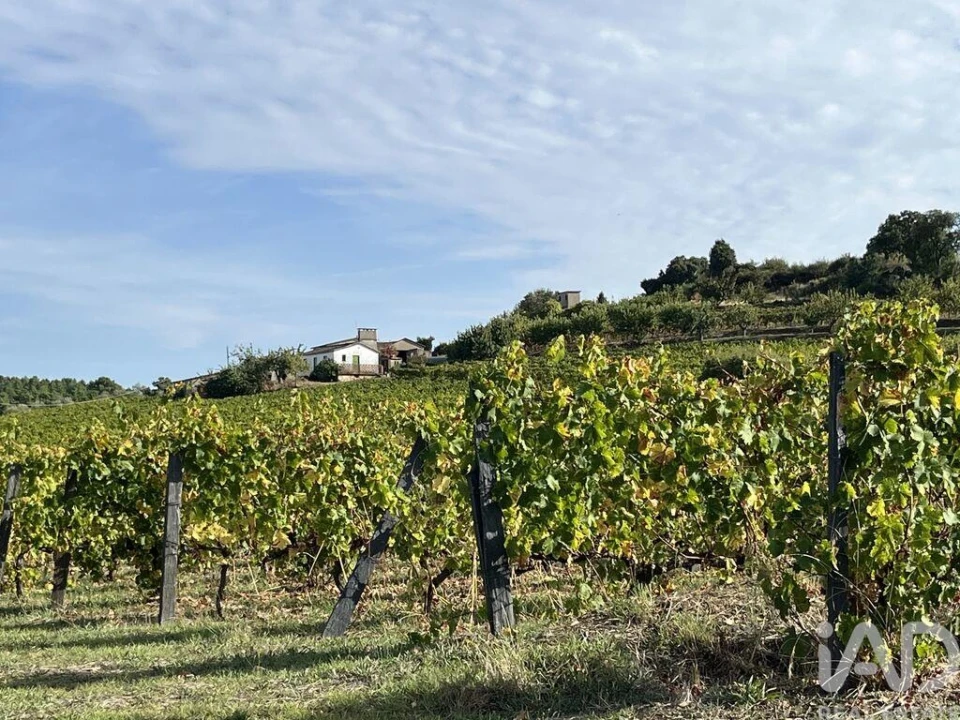Terreno para Venda em Alijo Foto 1