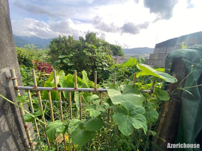 Moradia T3 para Venda em Povoação Foto 30