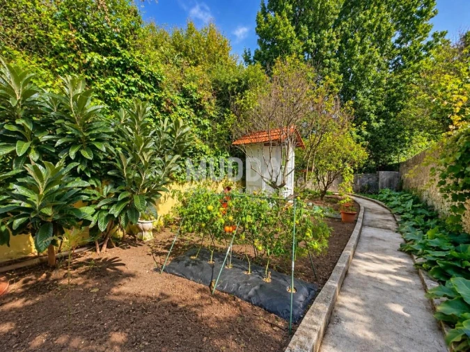 Moradia T9 para Venda em Ovar, São João, Arada e São Vicente de Pereira Jusã Foto 64
