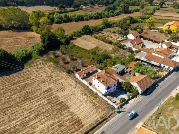 Moradia T4 para Venda em São João da Ribeira e Ribeira de São João