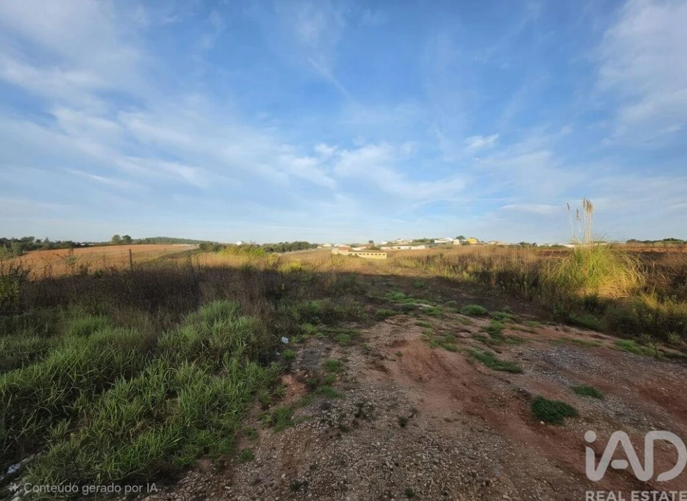 Terreno para Venda em Lamas e Cercal Foto 2