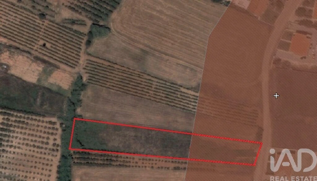 Terreno para Venda em Lamas e Cercal Foto 3