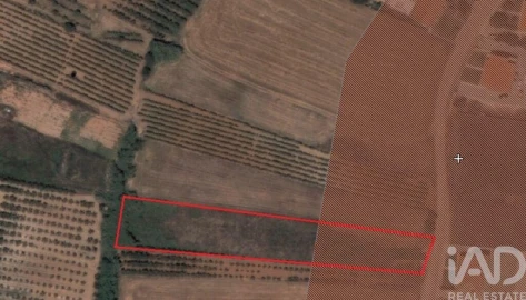 Terreno para Venda em Lamas e Cercal