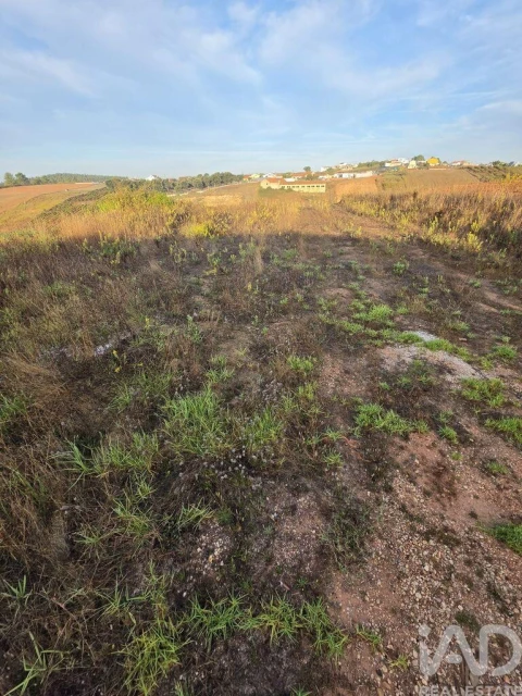 Terreno para Venda em Lamas e Cercal