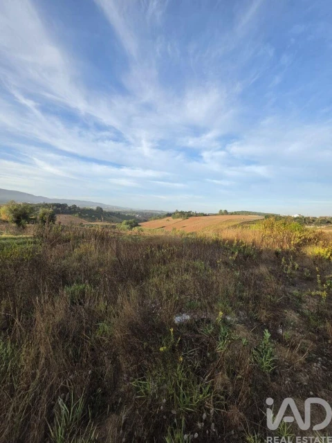 Terreno para Venda em Lamas e Cercal