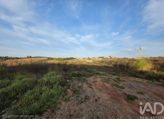 Terreno para Venda em Lamas e Cercal Foto 2