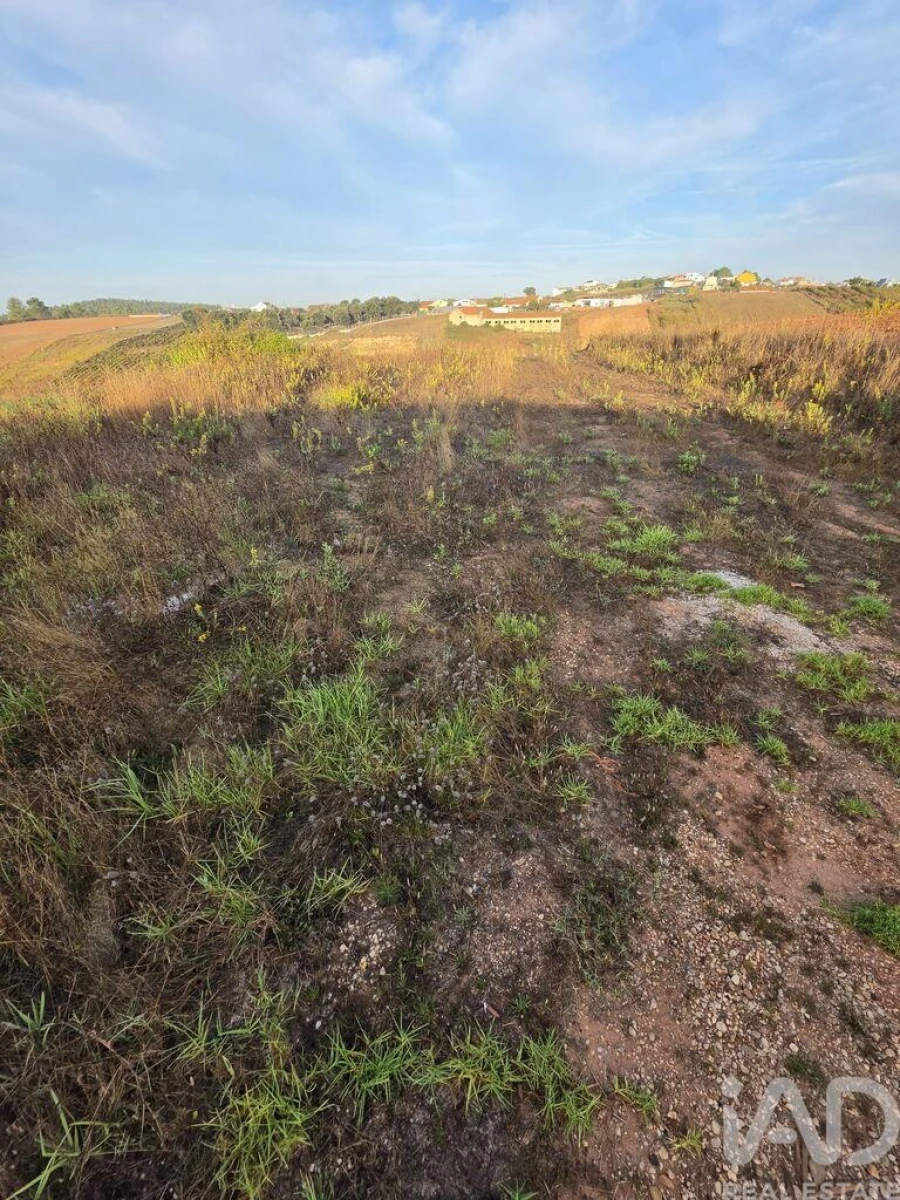 Terreno para Venda em Lamas e Cercal Foto 11