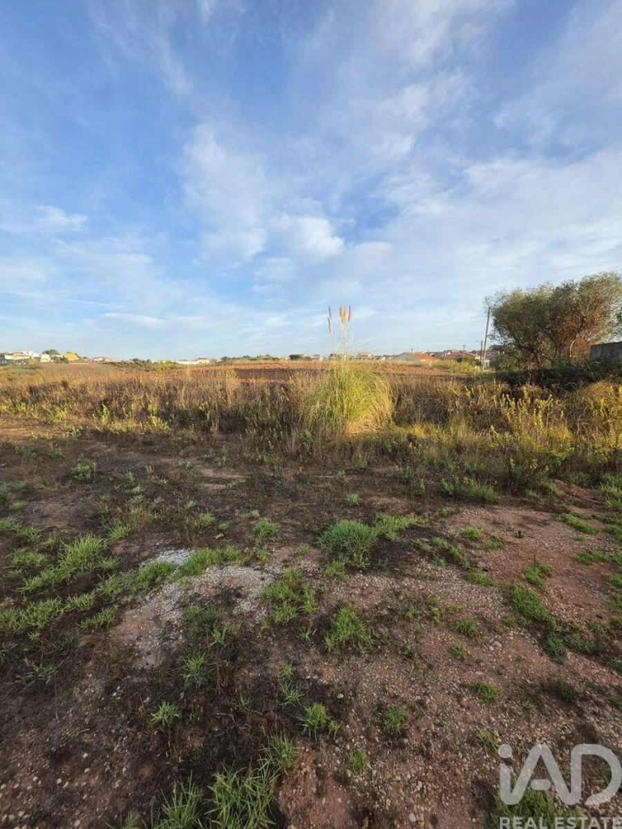 Terreno para Venda em Lamas e Cercal Foto 10
