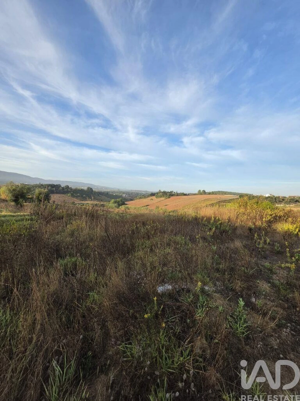 Terreno para Venda em Lamas e Cercal Foto 12