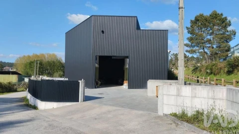 Armazém para Venda em Bodiosa