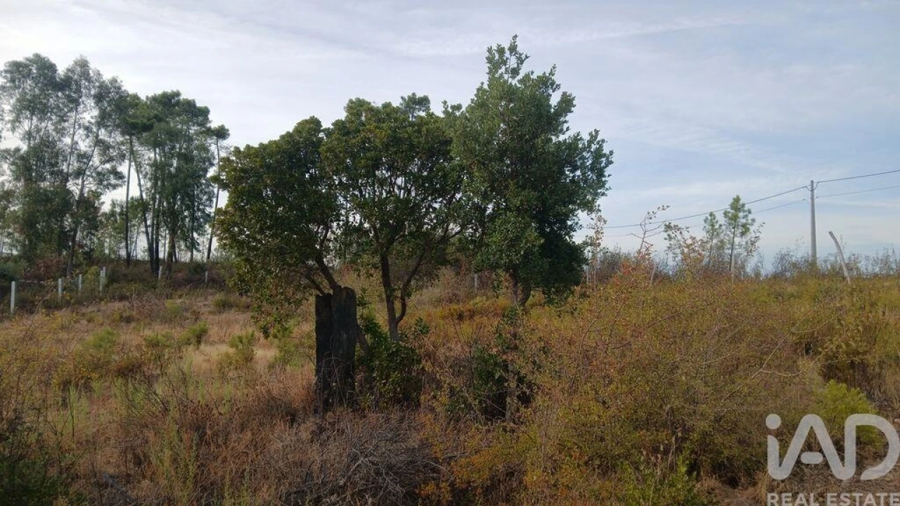 Terreno para Venda em Santo Andre das Tojeiras Foto 15