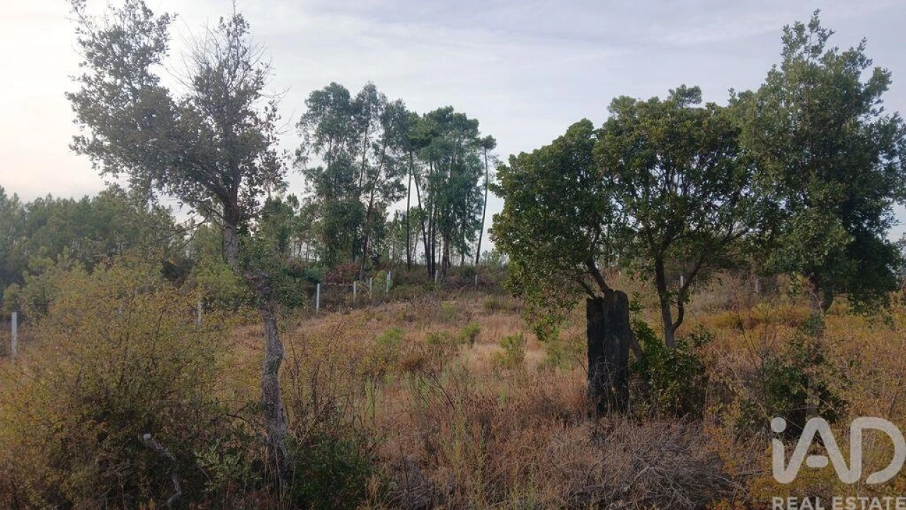 Terreno para Venda em Santo Andre das Tojeiras Foto 13