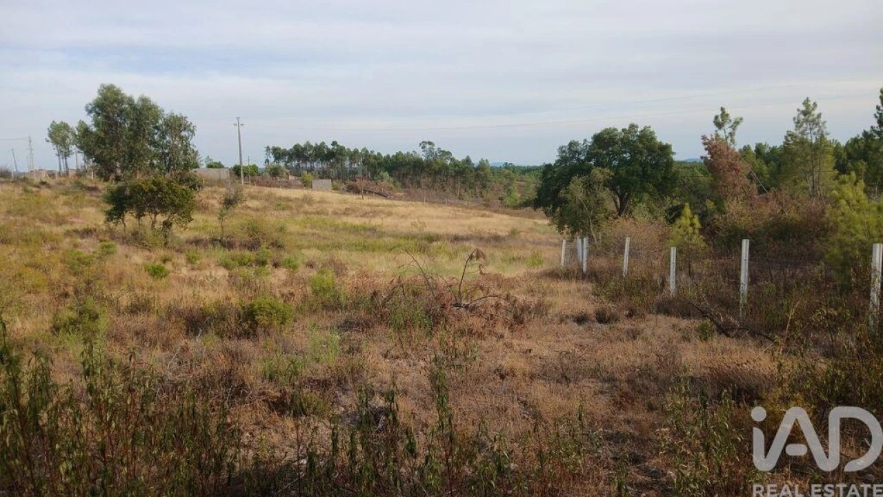 Terreno para Venda em Santo Andre das Tojeiras Foto 12