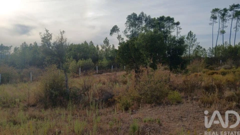 Terreno para Venda em Santo Andre das Tojeiras
