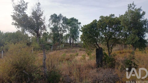 Terreno para Venda em Santo Andre das Tojeiras