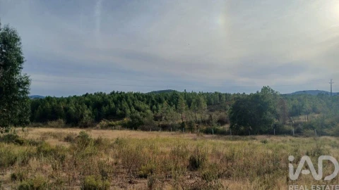 Terreno para Venda em Santo Andre das Tojeiras