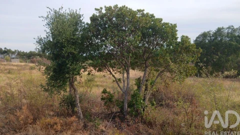Terreno para Venda em Santo Andre das Tojeiras
