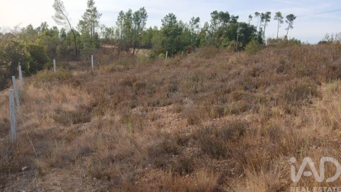 Terreno para Venda em Santo Andre das Tojeiras