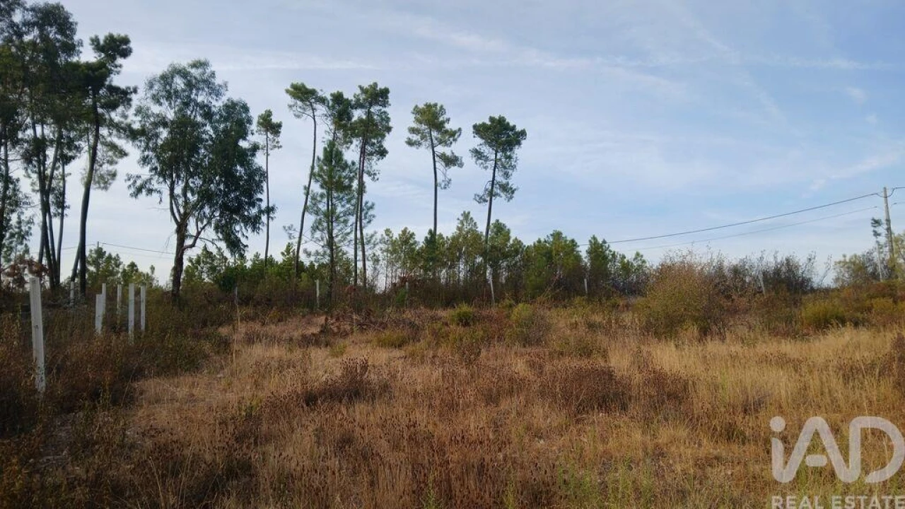 Terreno para Venda em Santo Andre das Tojeiras Foto 10