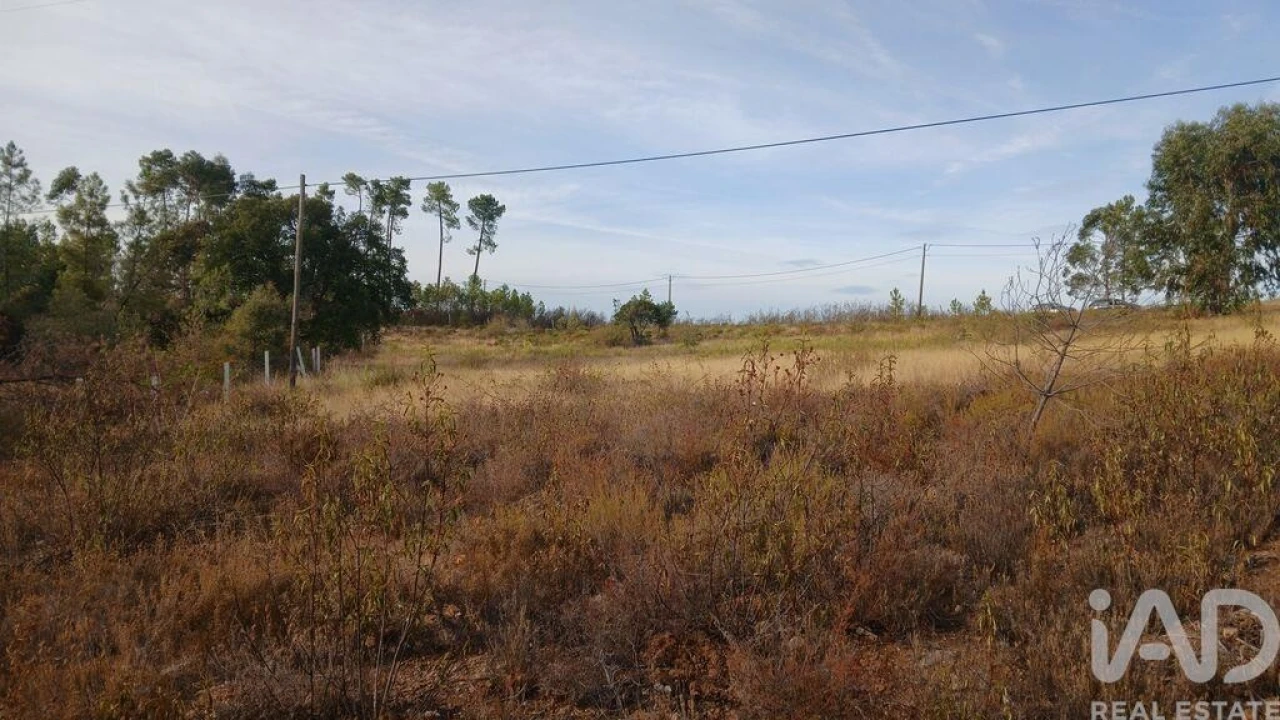 Terreno para Venda em Santo Andre das Tojeiras Foto 9