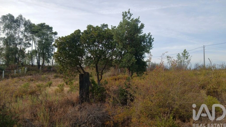 Terreno para Venda em Santo Andre das Tojeiras Foto 15