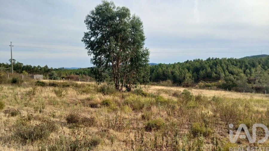 Terreno para Venda em Santo Andre das Tojeiras Foto 3