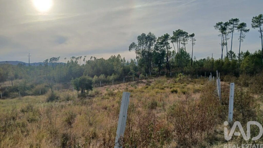 Terreno para Venda em Santo Andre das Tojeiras Foto 2