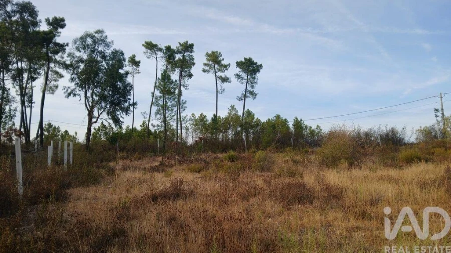 Terreno para Venda em Santo Andre das Tojeiras Foto 10
