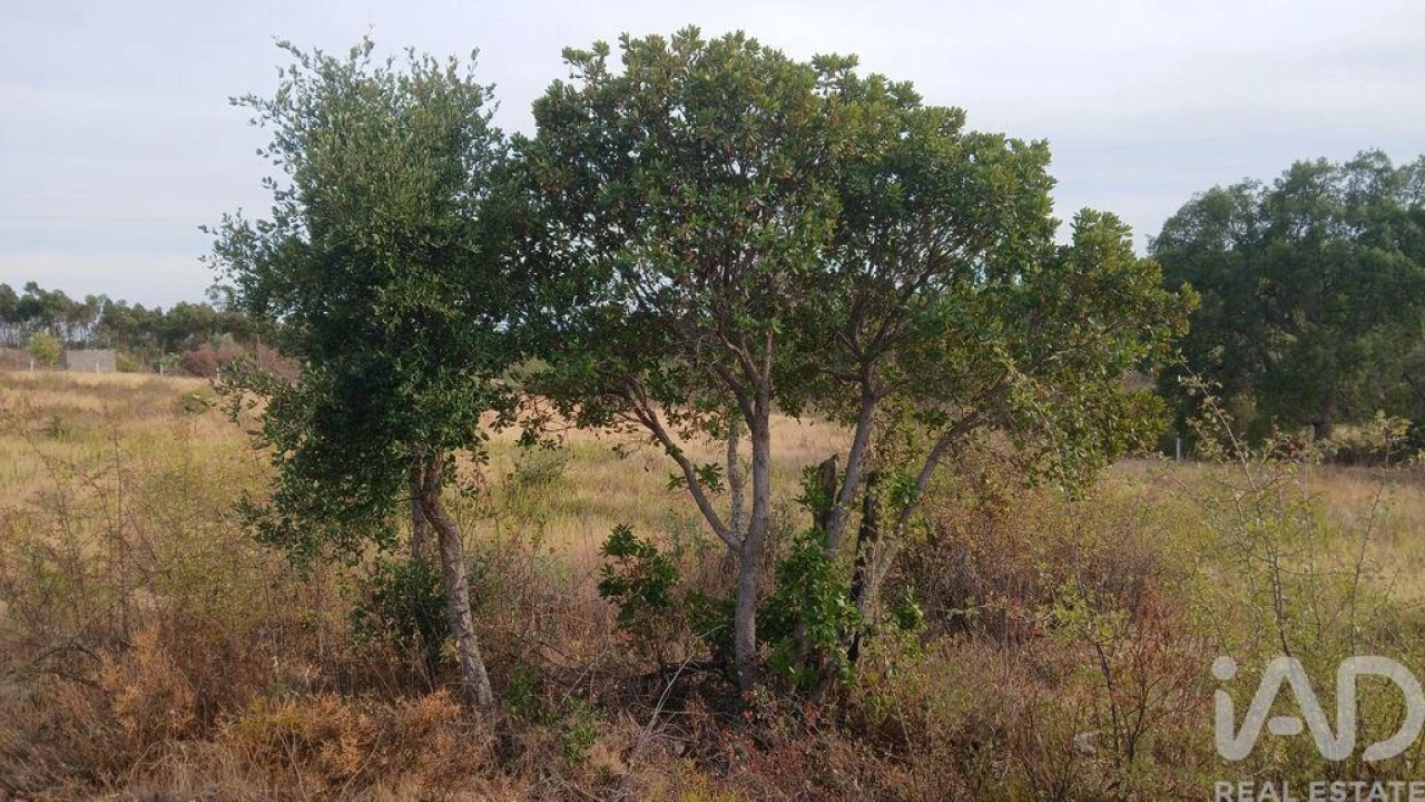 Terreno para Venda em Santo Andre das Tojeiras Foto 11