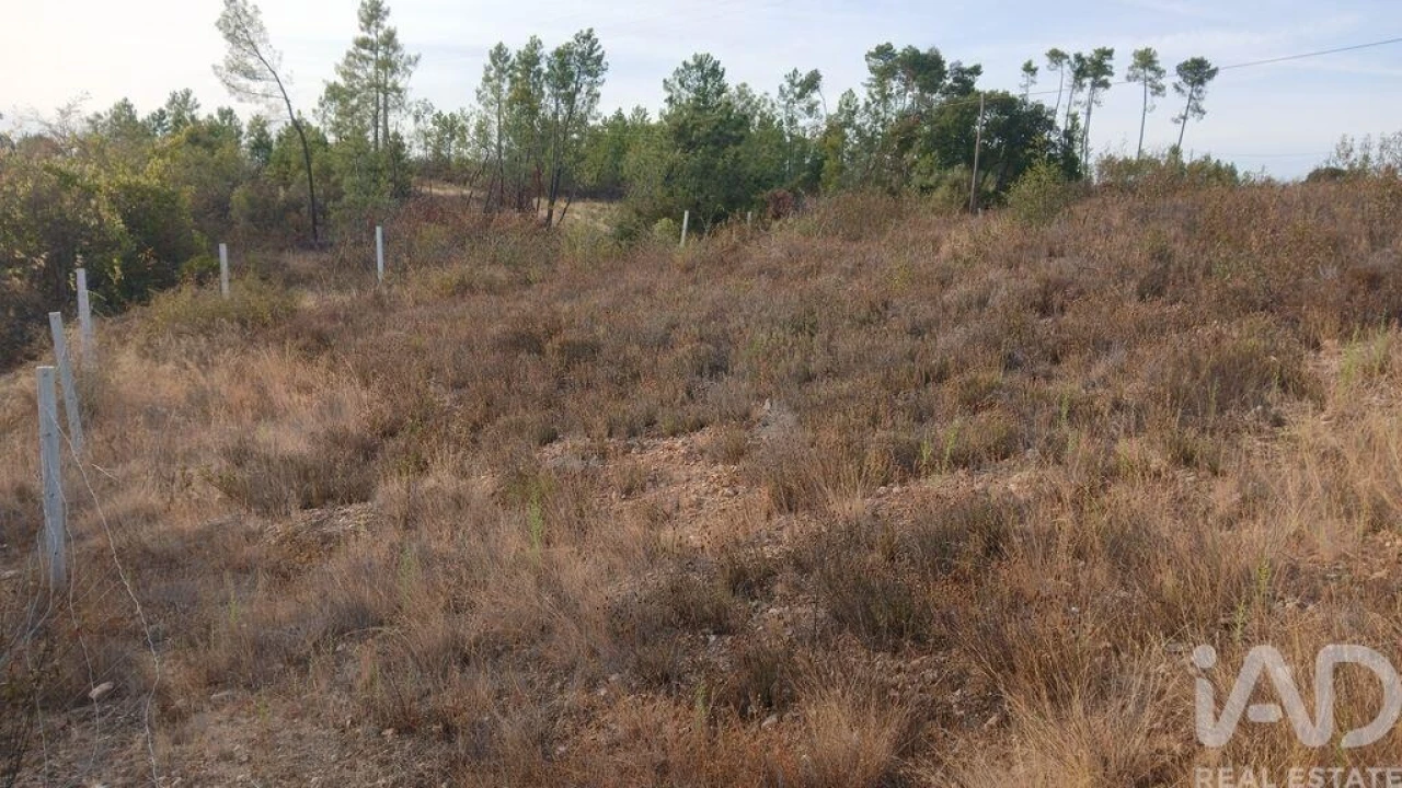 Terreno para Venda em Santo Andre das Tojeiras Foto 8