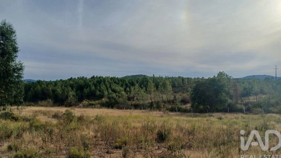 Terreno para Venda em Santo Andre das Tojeiras