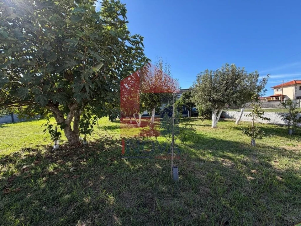 Moradia T3 para Venda em Parada de Gatim Foto 48