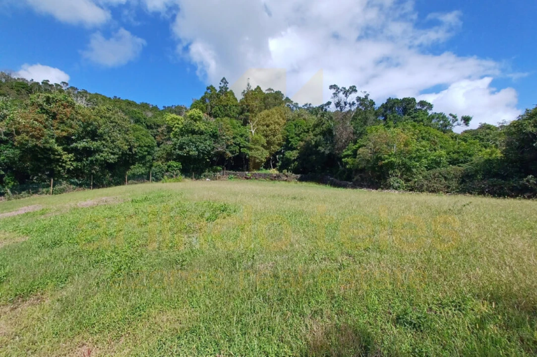 Moradia T3 para Venda em Ribeira Seca Foto 29