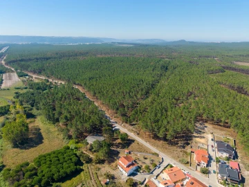 Armazém para Venda em Nazare