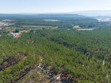 Armazém para Venda em Nazare