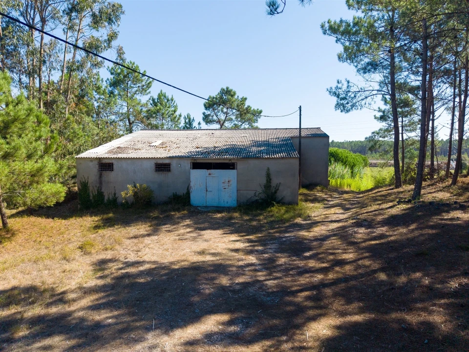 Armazém para Venda em Nazare Foto 13