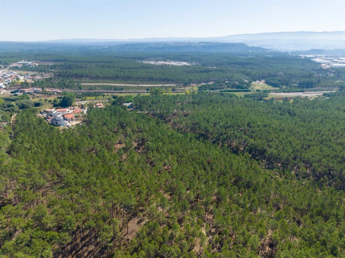 Armazém para Venda em Nazare Foto 27