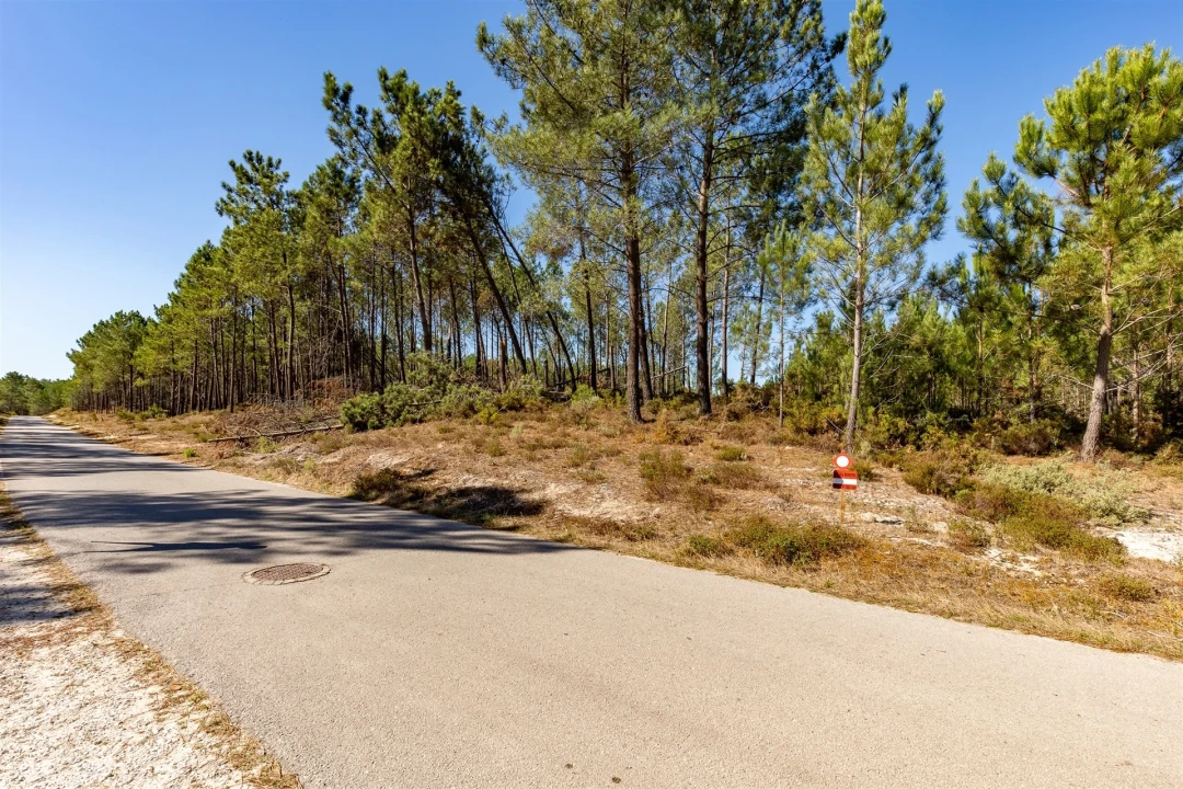 Armazém para Venda em Nazare Foto 16