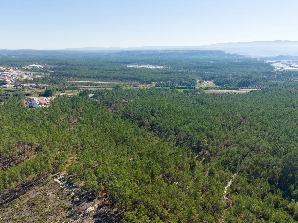 Armazém para Venda em Nazare Foto 29