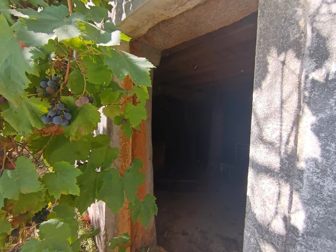 Moradia T2 para Venda em Benquerença Foto 17
