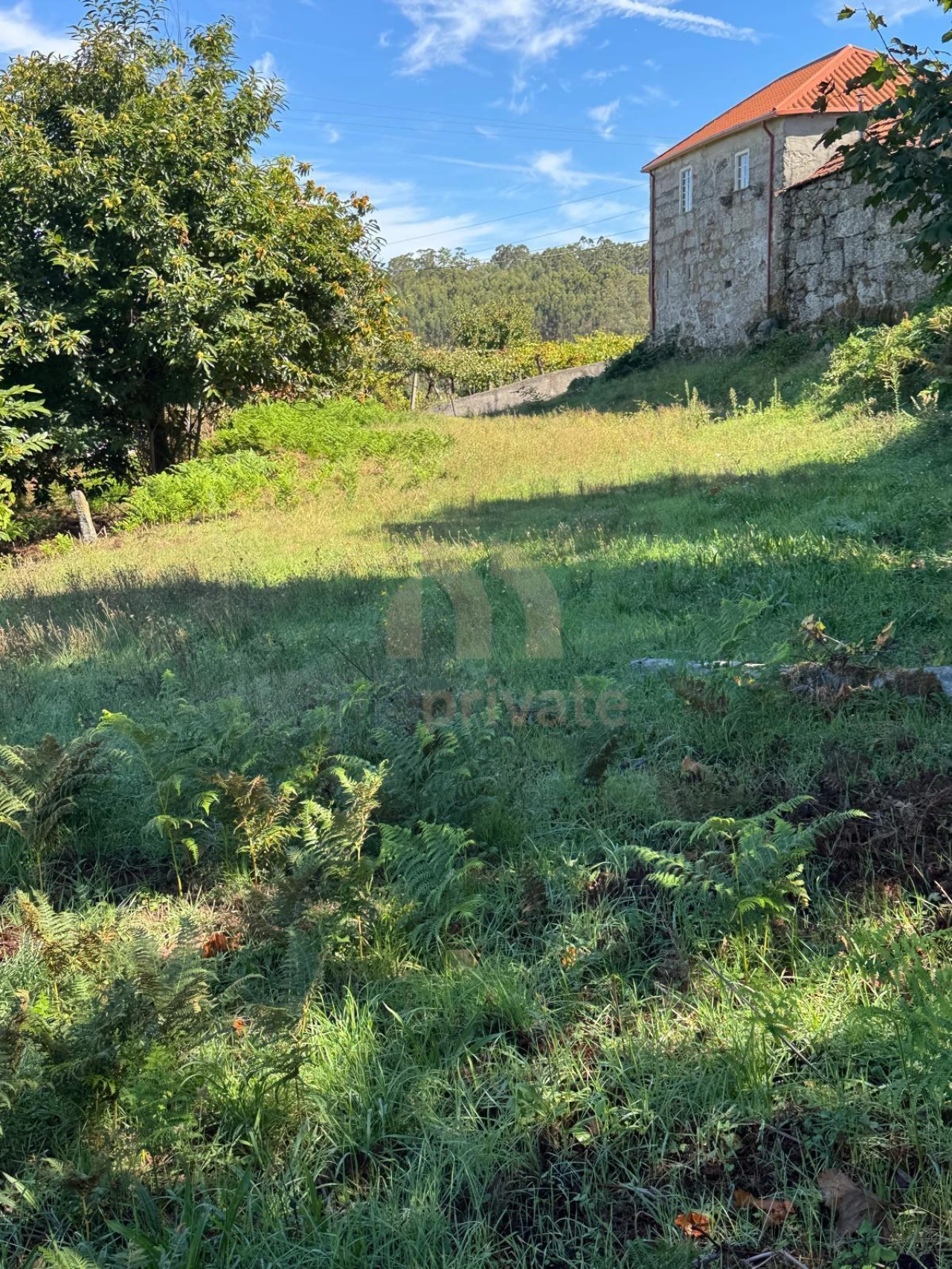 Terreno para Venda em Vilarinho Foto 4